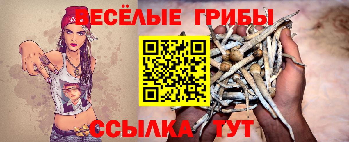 Псилоцибиновые грибы мухоморы Новый Уренгой