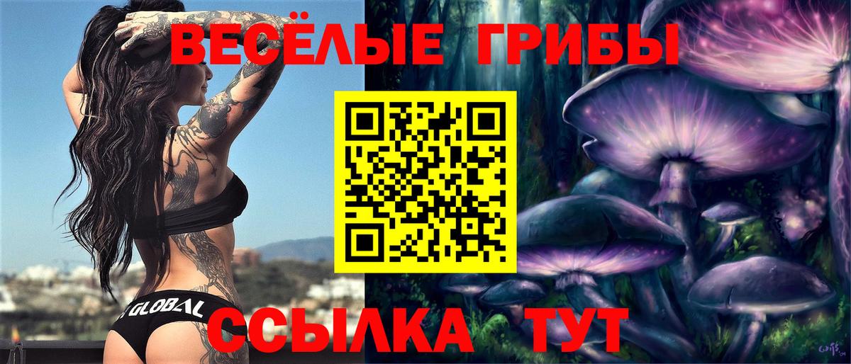Галлюциногенные грибы ЛСД  Вход с VPN  Псилоцибиновые грибы MAGIC MUSHROOMS  Новый Уренгой 
